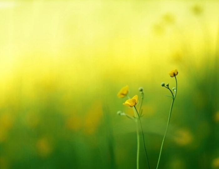 Здоровье без границ - Санаторий «им. Сеченова» Ессентуки