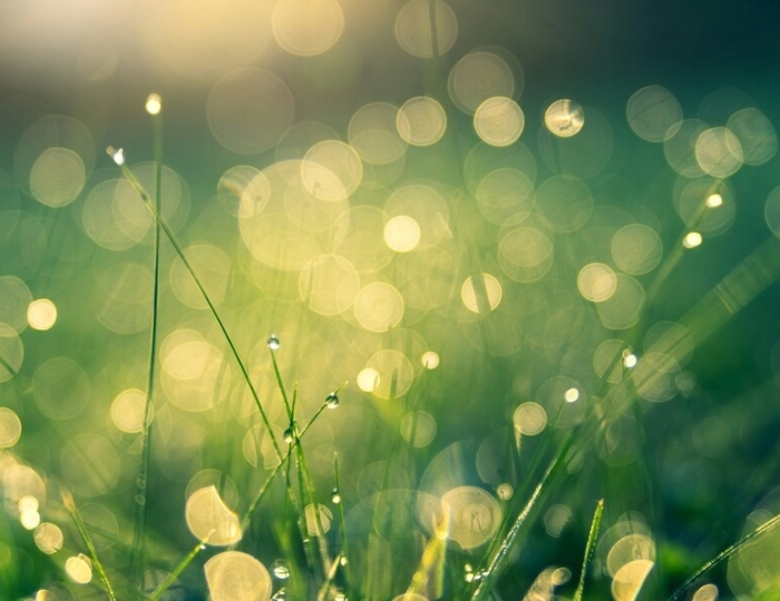 Программа «Обновление через Детокс» - Лечебные программы - Санаторий «им. Сеченова» Ессентуки