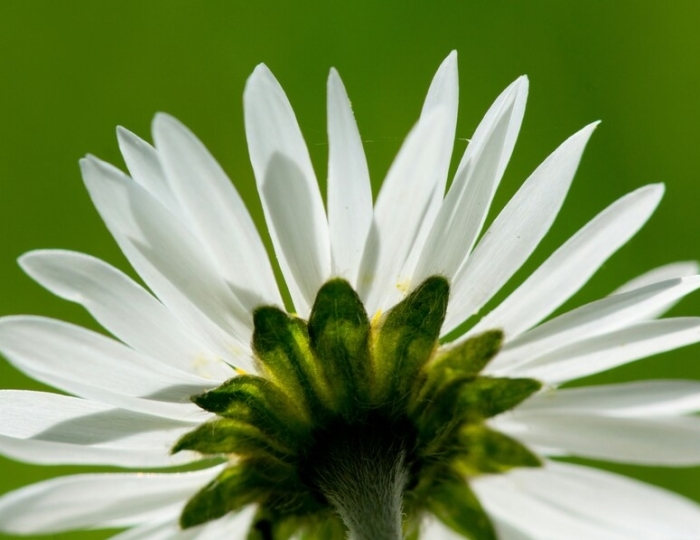 Выходные для здоровья - Лечебные программы - Санаторий «им. Сеченова» Ессентуки